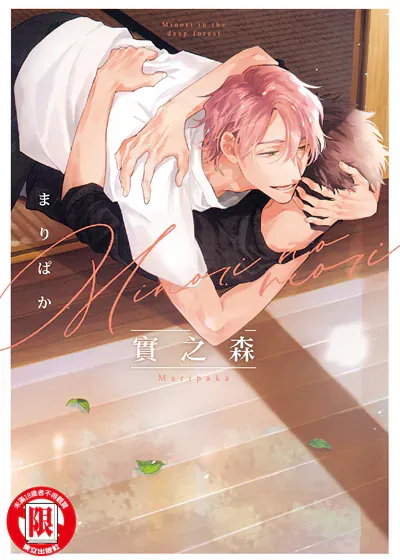 封面